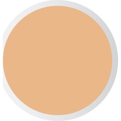 PASTEL PROFASHION LİKİT CONCEALER 104 - 3